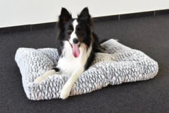 Flamingo Coussin Snoozzy Rectangulaire Gris/noir 120x80x17cm 5 Flamingo Coussin Snoozzy Rectangulaire Gris/noir 120x80x17cm -Chien Fournitures Boutique 02b85646dde52c6d7638ac66ec090ce4203430de691d159de28b40c05e2dab43