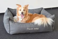 Flamingo Panier Dream Away Rectangulaire Fermeture Eclair Gris 70x50x25cm -Chien Fournitures Boutique 37f8f9d2bcfc787457edfad65b22465252c2a8c68572c85fe01192a8db693fd9