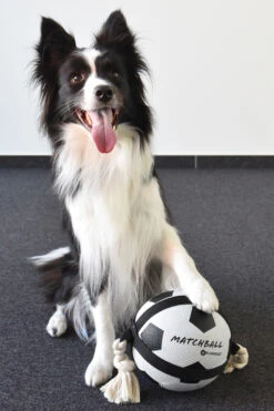 Flamingo Jouet Chien Matchball Balle De Foot 12,5cm -Chien Fournitures Boutique 40ceb270f0ae1d84ac34a9c72537280e20e86552eaf2ba2e45995c5537755e53