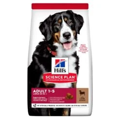 Hill's Science Plan Adult Large Breed Agneau Pour Chien 14kg