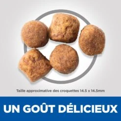Hill's Science Plan Adult Healthy Mobility Croquettes Pour Grand Chien Au Poulet 14 Kg 12 Hill's Science Plan Adult Healthy Mobility Croquettes Pour Grand Chien Au Poulet 14 Kg -Chien Fournitures Boutique 52742026015 4 science plan healthy mobility chien adulte large croquettes poulet