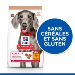 Hill's Science Plan No Grain Adult Large Breed Croquettes Sans Céréales Pour Chien Adulte De Grande Race Au Poulet - 14kg -Chien Fournitures Boutique 52742037233 3 science plan chien adult large no grain croquettes poulet