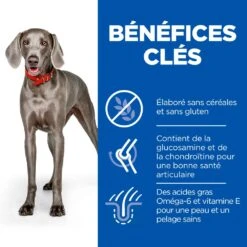 Hill's Science Plan No Grain Adult Large Breed Croquettes Sans Céréales Pour Chien Adulte De Grande Race Au Poulet - 14kg -Chien Fournitures Boutique 52742037233 4 science plan chien adult large no grain croquettes poulet