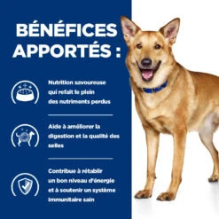 Hill's Prescription Diet I/d AB+ Boîtes Pour Chien - 12 X 354g -Chien Fournitures Boutique 52742039855 3 FR
