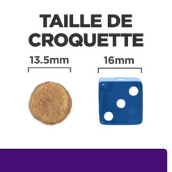 Hill's Presription Diet U/d Urinary Croquettes Pour Chien 4 Kg -Chien Fournitures Boutique 52742041711 4 FR 1