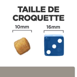 Hill's Prescription Diet L/D Liver Croquettes Pour Chien 10 Kg -Chien Fournitures Boutique 52742042459 4 FR