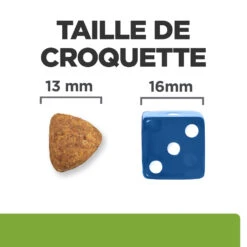 Hill's Prescription Diet Metabolic Croquettes Pour Chien À L'agneau Et Au Riz -12Kg -Chien Fournitures Boutique 52742044538 4 FR