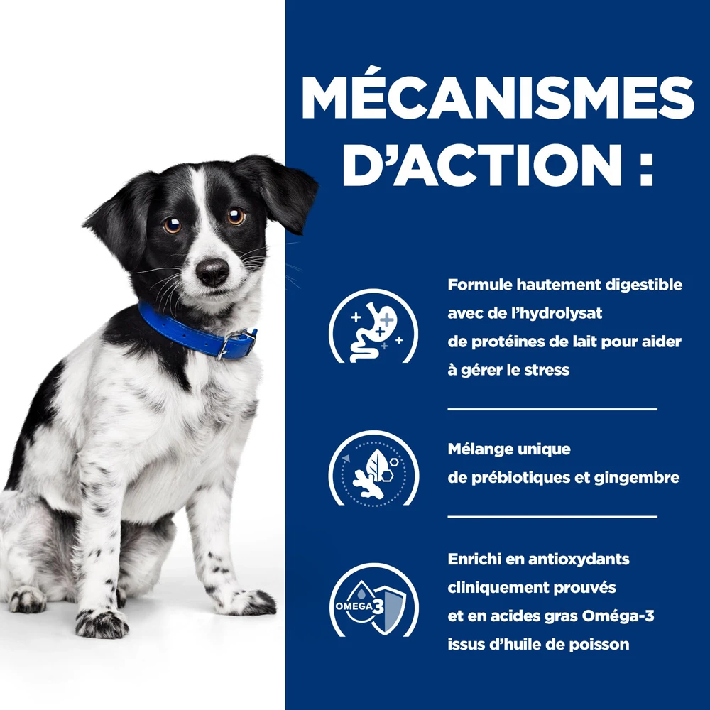 Hill's Prescription Diet I/d Stress Digestive Mini Croquettes Pour Petit Chien Au Poulet 3 Kg 3 Hill's Prescription Diet I/d Stress Digestive Mini Croquettes Pour Petit Chien Au Poulet 3 Kg – Image 3