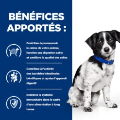 Hill's Prescription Diet I/d Stress Digestive Mini Croquettes Pour Petit Chien Au Poulet 1 Kg -Chien Fournitures Boutique 52742045009 3 FR