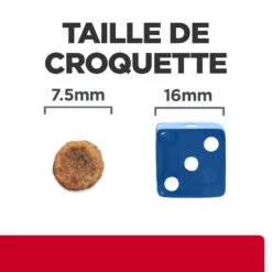 Hill's Prescription Diet I/d Stress Digestive Mini Croquettes Pour Petit Chien Au Poulet 3 Kg 11 Hill's Prescription Diet I/d Stress Digestive Mini Croquettes Pour Petit Chien Au Poulet 3 Kg -Chien Fournitures Boutique 52742045009 4 FR 2
