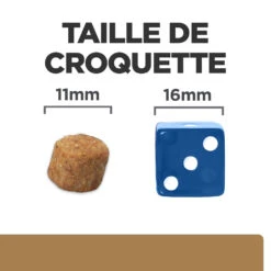 Hill's Prescription Diet J/D Mobility Croquettes Pour Chien Au Poulet - 12Kg -Chien Fournitures Boutique 52742045740 4 FR