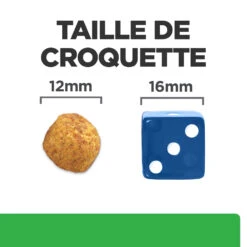 Hill's Prescription Diet R/D Croquettes Pour Chien Au Poulet 4 Kg -Chien Fournitures Boutique 52742047256 4 FR