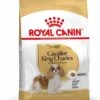 Royal Canin Cavalier King Charles Adult 1,5kg