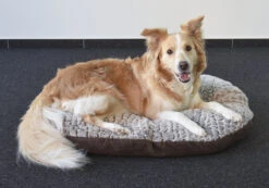 Flamingo Coussin Snoozzy Ovale Fermeture Eclair Brun 90x66x10cm -Chien Fournitures Boutique 637512647d721696dc3779cc78818d65a2760ed947c44a595a1ea79f07552dfb