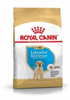 Royal Canin Labrador Retriever Chiot Pour Chien 12kg