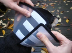 Flamingo Carcan Capo 38,5cm 10 Flamingo Carcan Capo 38,5cm -Chien Fournitures Boutique 6a49ce8ac076c3841c6f50f7e51b24655faca046434a3c86371644c1769f8e05