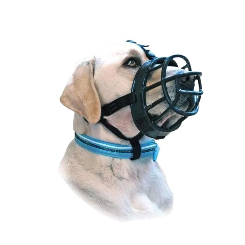 Muselière Baskerville Ultra 2 : Border Terrier, Fox Terrier, Caniche Nain, Schnauzer Nain, Whippet 1 Muselière Baskerville Ultra 2 : Border Terrier, Fox Terrier, Caniche Nain, Schnauzer Nain, Whippet