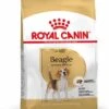 Royal Canin Beagle Adult Pour Chien 12kg