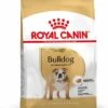 Royal Canin Bulldog Anglais Adult Pour Chien 12kg