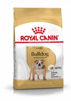 Royal Canin Bulldog Anglais Adult Pour Chien 12kg