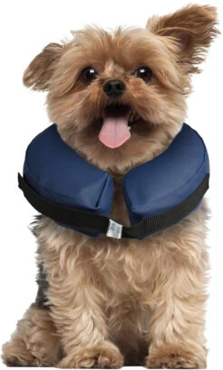 Flamingo Collier Gonflable Pour Chiens Gofi Xs 7 Flamingo Collier Gonflable Pour Chiens Gofi Xs -Chien Fournitures Boutique 91c7e2540c51d376ee330bcd170be2dab27a83c045c0d7076ffa4ded7c6dc45c