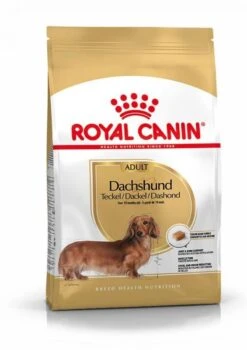 Royal Canin Teckel Adult Pour Chien 1,5kg