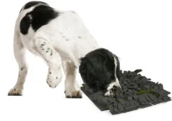 Flamingo Tapis à Renifler Amigo Rectangulaire + Fermeture Eclair Gris/vert 40x50cm -Chien Fournitures Boutique a775a03a816b5a96e49c58cd3ecbc26540a84574cd16c3ba95abf6994148d0f2