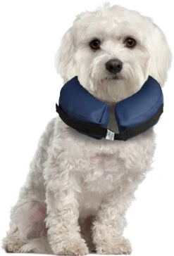 Flamingo Collier Gonflable Pour Chiens Gofi S 9 Flamingo Collier Gonflable Pour Chiens Gofi S -Chien Fournitures Boutique c76564a084433e164fdda469521c2f8b95e5c504b608d8280deab069721e7d8e