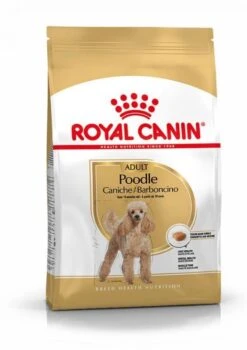 Royal Canin Caniche Adult Pour Chien 1,5kg