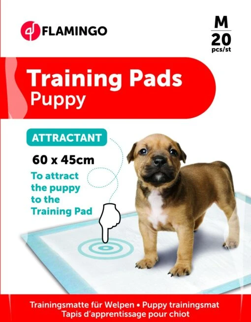 Flamingo Tapis D'Apprentissage Pady M 20pcs Attractant 60x45cm