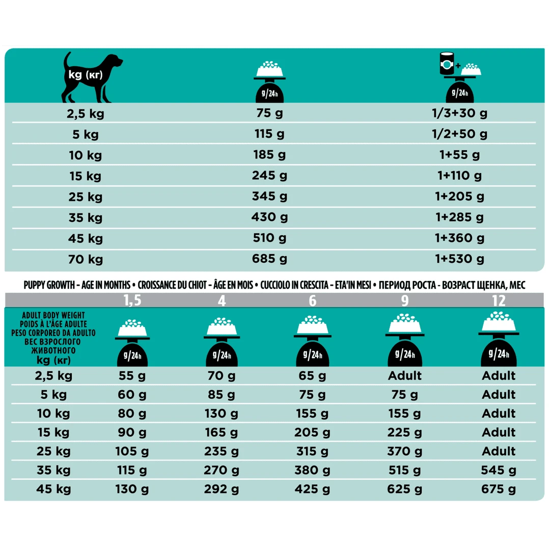 Purina Veterinary Diet EN Chien 1,5Kg 2 Purina Veterinary Diet EN Chien 1,5Kg – Image 2