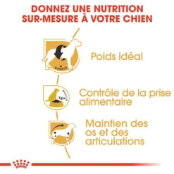 Royal Canin Beagle Adult Pour Chien 12kg -Chien Fournitures Boutique royal canin beagle adult beagle adulte 2