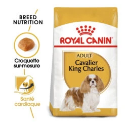 Royal Canin Cavalier King Charles Adult Pour Chien 7,5kg -Chien Fournitures Boutique royal canin cavalier king charles adult cavalier king charles 1