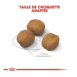 Royal Canin Giant Puppy Pour Chien 15kg -Chien Fournitures Boutique royal canin giant puppy giant puppy 3