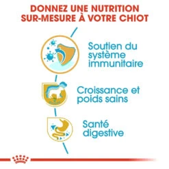 Royal Canin Labrador Retriever Chiot Pour Chien 12kg -Chien Fournitures Boutique royal canin labrador retriever puppy labrador retriever junior 2