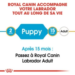 Royal Canin Labrador Retriever Chiot Pour Chien 12kg -Chien Fournitures Boutique royal canin labrador retriever puppy labrador retriever junior 3