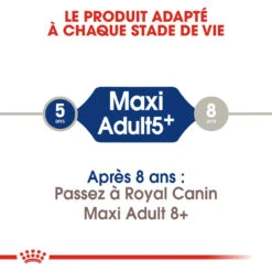 Royal Canin Maxi Adult 5+ Pour Chien 4kg 6 Royal Canin Maxi Adult 5+ Pour Chien 4kg -Chien Fournitures Boutique royal canin maxi adult croquettes pour chien maxi adult 2 1
