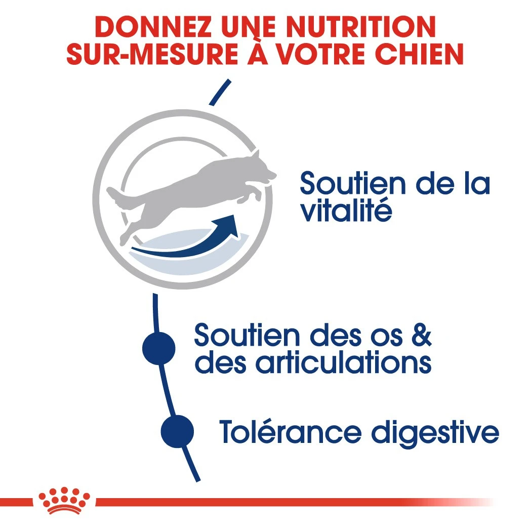 Royal Canin Maxi Adult 5+ Pour Chien 4kg 4 Royal Canin Maxi Adult 5+ Pour Chien 4kg – Image 4