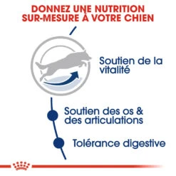 Royal Canin Maxi Adult 5+ Pour Chien 15kg -Chien Fournitures Boutique royal canin maxi adult croquettes pour chien maxi adult 3