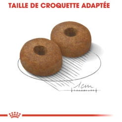 Royal Canin Maxi Ageing 8+ Pour Chien 15kg -Chien Fournitures Boutique royal canin maxi ageing croquettes pour chien maxi ageing 2