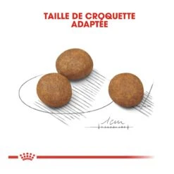 Royal Canin Maxi Chiot Pour Chien 4kg -Chien Fournitures Boutique royal canin maxi puppy croquettes pour chiot maxi puppy 3