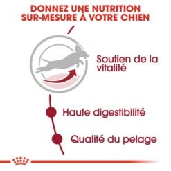 Royal Canin Medium Adult 7+ Pour Chien 15kg 9 Royal Canin Medium Adult 7+ Pour Chien 15kg -Chien Fournitures Boutique royal canin medium adult medium adult 2