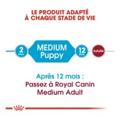 Royal Canin Medium Junior Pour Chien 15kg 9 Royal Canin Medium Junior Pour Chien 15kg -Chien Fournitures Boutique royal canin medium puppy croquettes pour chiot medium puppy 2