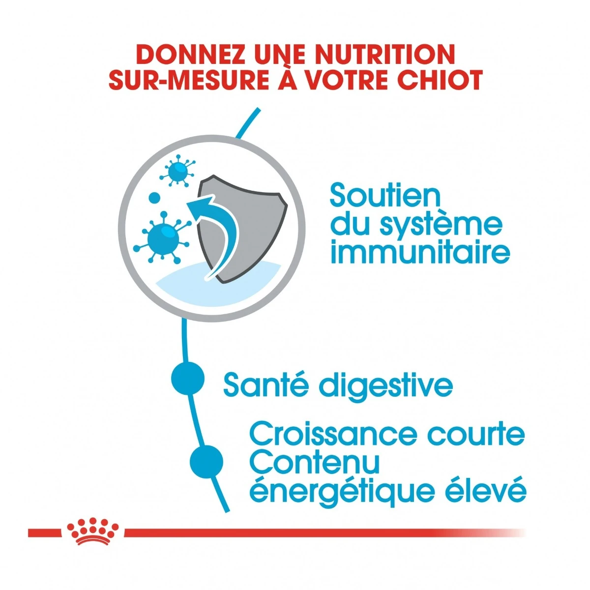 Royal Canin Medium Junior Pour Chien 15kg 5 Royal Canin Medium Junior Pour Chien 15kg – Image 5