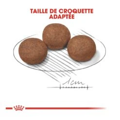 Royal Canin Medium Junior Pour Chien 15kg 11 Royal Canin Medium Junior Pour Chien 15kg -Chien Fournitures Boutique royal canin medium puppy croquettes pour chiot medium puppy 4