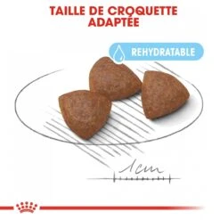 Royal Canin Medium Starter Mother & Babydog - 15Kg -Chien Fournitures Boutique royal canin medium starter medium starter 2