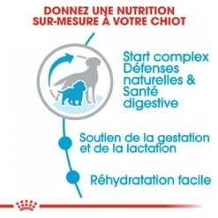 Royal Canin Medium Starter Mother & Babydog - 15Kg -Chien Fournitures Boutique royal canin medium starter medium starter 3