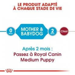 Royal Canin Medium Starter Mother & Babydog - 15Kg -Chien Fournitures Boutique royal canin medium starter medium starter 4