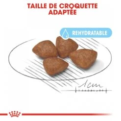 Royal Canin Mini Starter Mother & Babydog - 8.5Kg -Chien Fournitures Boutique royal canin mini starter mini starter 2