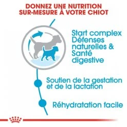 Royal Canin Mini Starter Mother & Babydog - 8.5Kg -Chien Fournitures Boutique royal canin mini starter mini starter 3